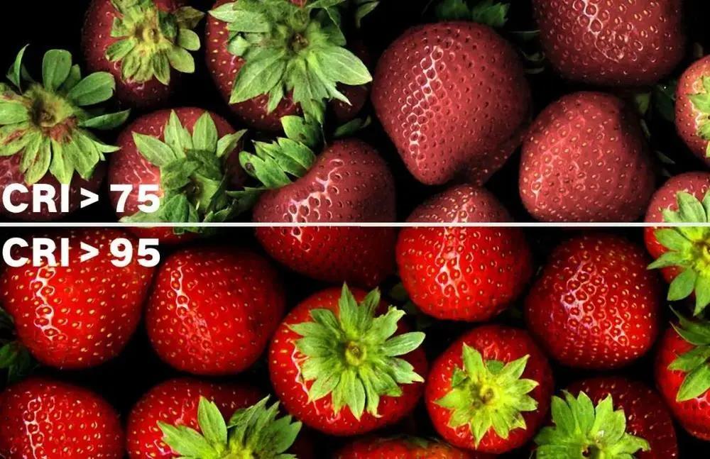 1583717669523567.jpg 微信圖片_20200309092142.jpg